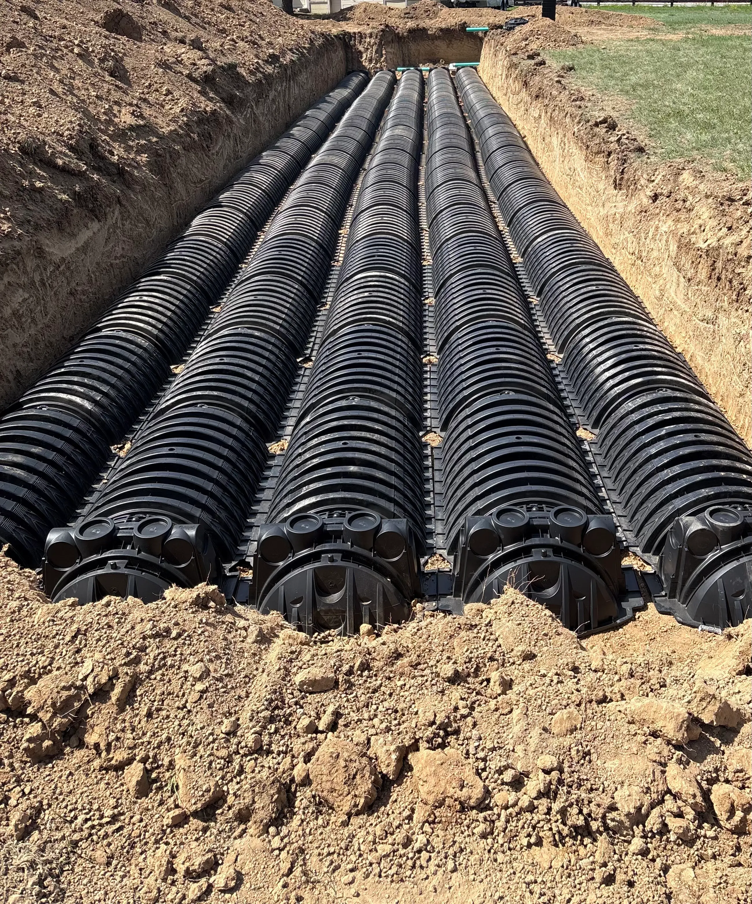 Professional septic system repair in Berthoud